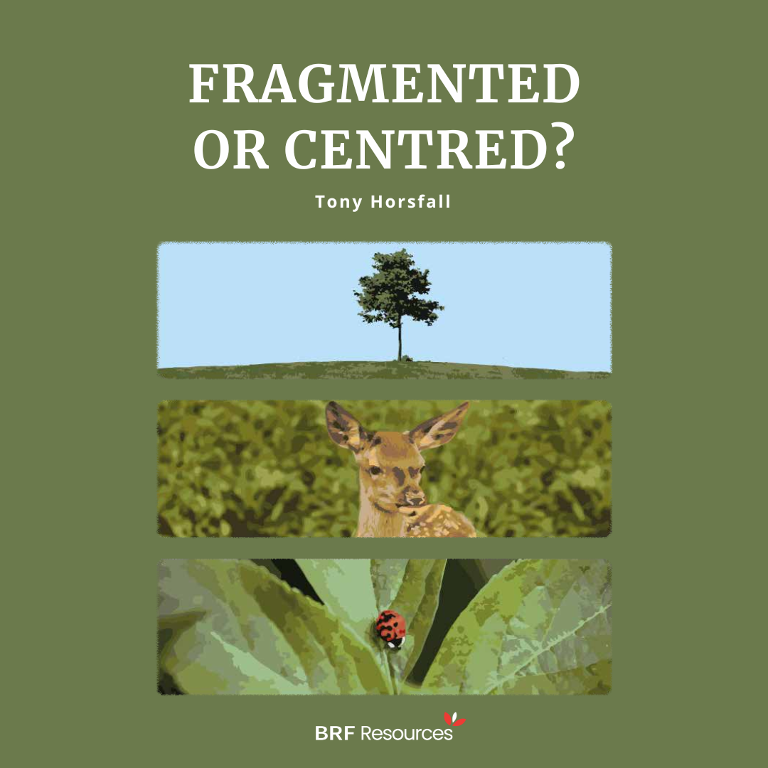 Fragmented or Centred?