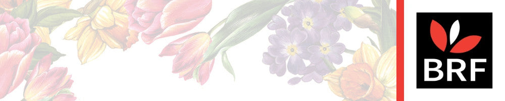 Greetings cards to help support our ministry