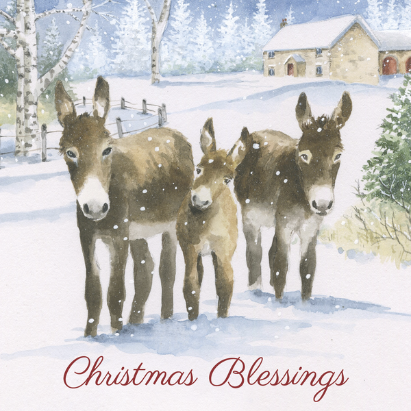 Christmas Card Donkeys in the snow (pack of 10)