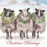 Christmas Card - Christmas sheep (pack of 10)