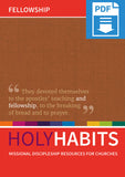 Holy Habits: Fellowship: Missional discipleship resources for churches