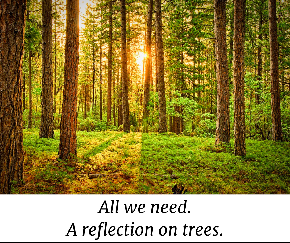 All we need: a reflection on trees