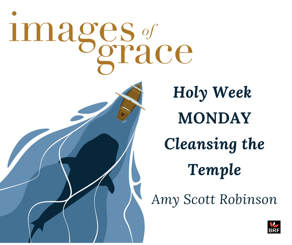 Holy Week with Images of Grace - Amy Scott Robinson