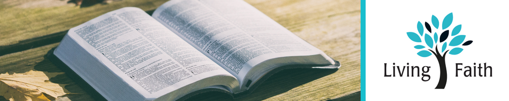 Developing Biblical Literacy