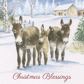 Christmas Card - Donkeys in the snow (pack of 10)