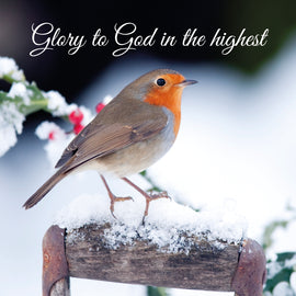 Christmas Card - Glory to God (pack of 10)