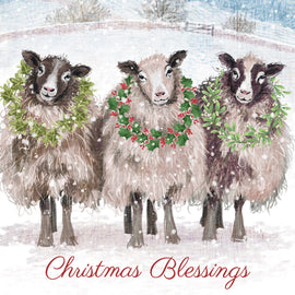Christmas Card - Christmas sheep (pack of 10)