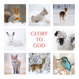 Christmas Card - Winter Wildlife (pack of 10)