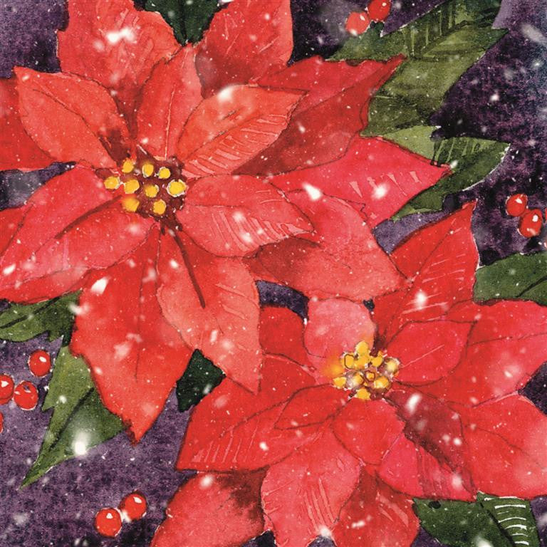 Christmas Card - Poinsettia (Pack of 10)