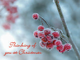 Christmas Card - Thinking of You (Pack of 10)