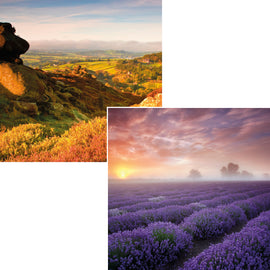 Everyday cards - Floral Landscape (Pack of 6 cards, 3 of each design)