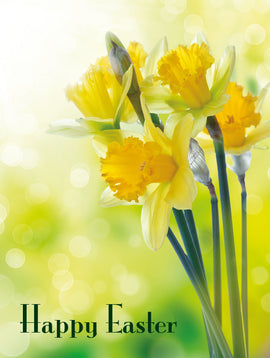 Easter Cards - 11. Happy Easter daffodils