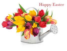 Easter Cards - 13. Spring watering can (Pack of 6 cards)